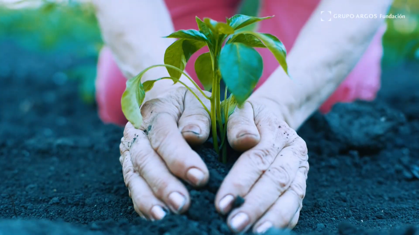 Fundación Grupo Argos presents Sembrando Futuro, a program to