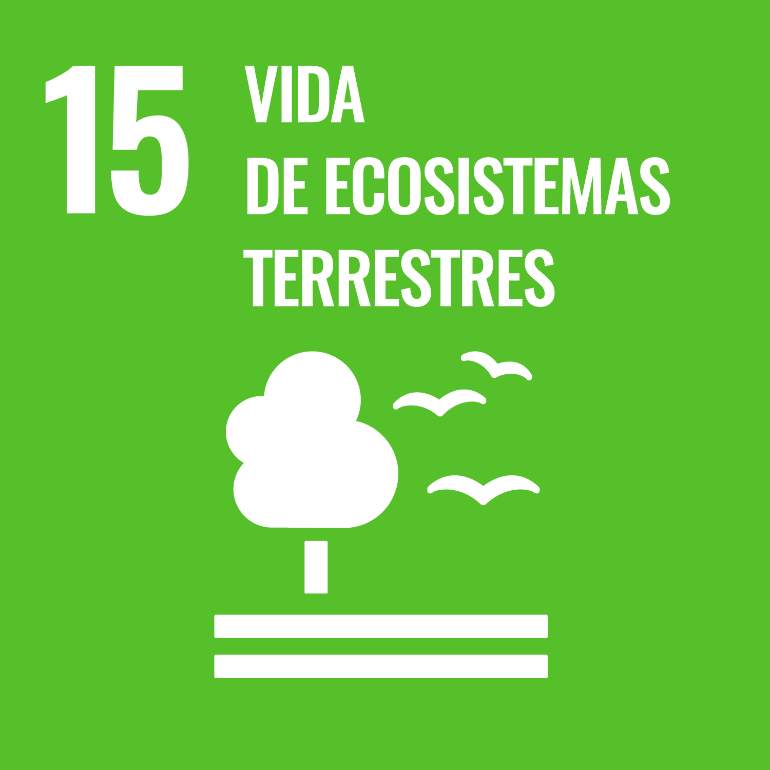 Objetivos de Desarrollo Sostenible número 15, vida de ecosistemas terrestres